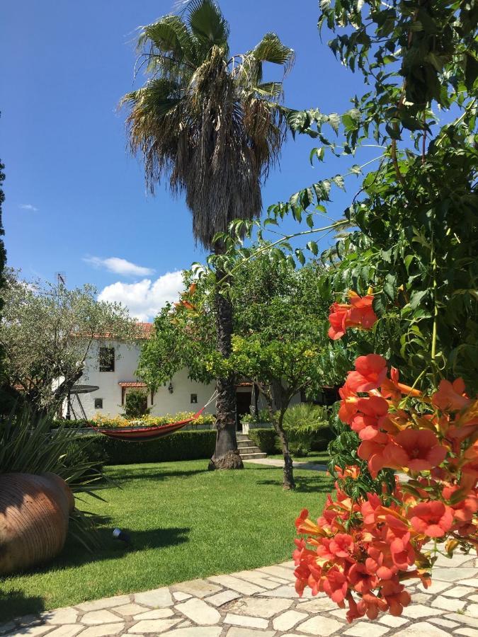 Villa Olive Ano Lekhonia Exterior photo